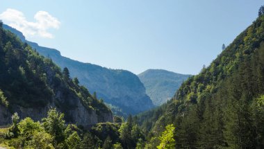 Güneşli bir yaz gününde, Fransa 'nın güney Alplerinde, Alpes-de-Haute-Provence' de ağaçlık yamaçlar ve kayalık uçurumlar bulunan muhteşem yeşil orman manzarasında muhteşem yapraklı bir dağ geçidi.