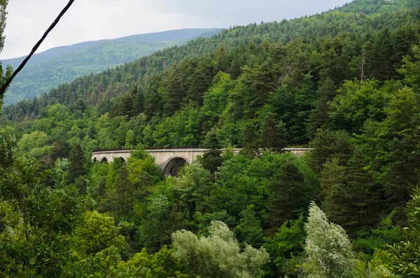 Uma Ponte Arcada Pedra Construída Uma Encosta Arborizada Entre Árvores — Fotografia de Stock