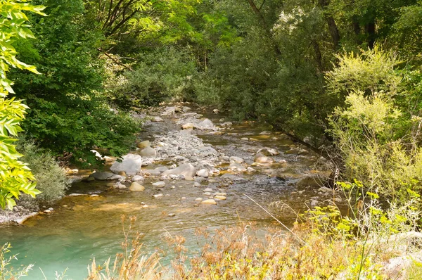 ヴァール川の支流であるヴァール川と フランスのプロヴァンスのアルプスの豪華な森林景観における平和な山の流れ 緑の水は小石と木々の間に穏やかに流れます — ストック写真