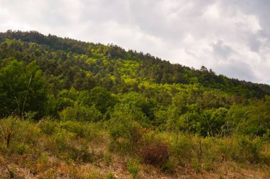 Mavi gökyüzünde yeşil dağlar
