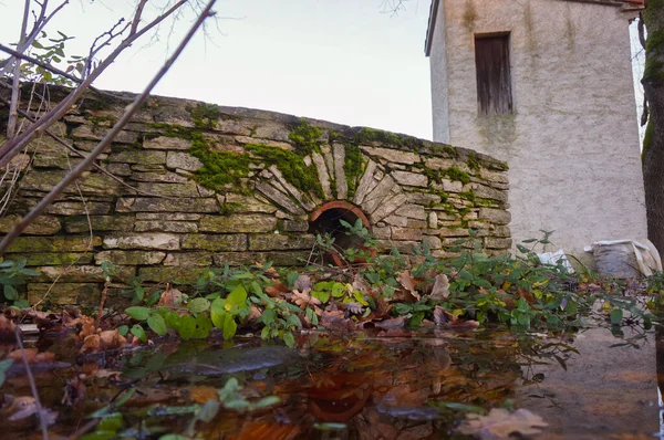 Moosbewachsene Freisteinmauer Eines Alten Brunnens Rande Eines Teiches Eingedrungen Von — Stockfoto