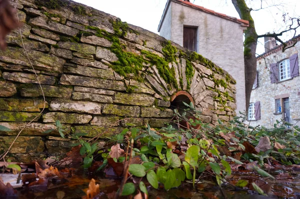 在法国南部一座乡间别墅的公园里 一个被水草和荆棘侵入的池塘边的一个老喷泉的布满了苔藓的自由石墙 后面有一个传统的鸽子窝 — 图库照片