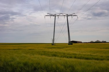 Yüksek gerilim hatları, Fransa 'nın kuzeydoğusunda, Berru Dağı ile Reims arasında bulunan bir buğday tarlasının ortasında bulunan metal, elektrik direği tarafından destekleniyor.