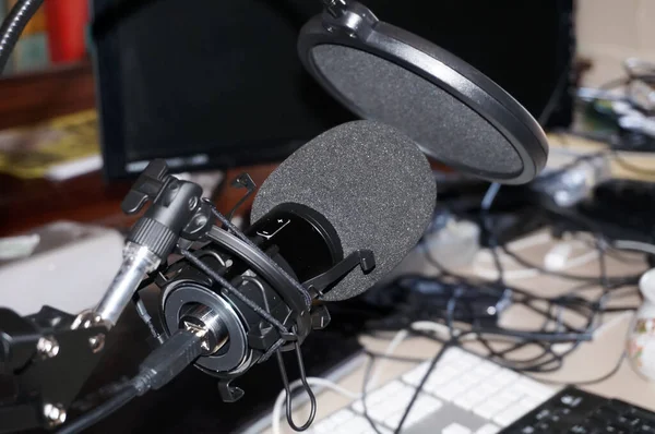 Üst Düzey Profesyonel Kayıt Mikrofonu Montajla Donatılmış Siyah Köpüklü Çift — Stok fotoğraf