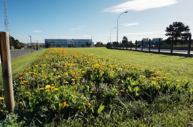 Reims, Fransa - Ekim 2022 - Moulin de la Housse 'da 200 metre uzunluğunda çiçek yatağı, Reims Champagne-Ardenne Üniversitesi (URCA) bilim kampüsü, doğa bilimleri binasının önünde.