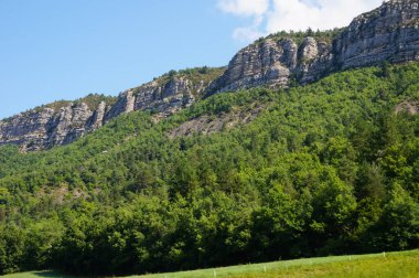 Alpes-de-Haute-Provence 'deki güzel bir orman manzarasında, parlak güneşli bir günde, Fransa' nın yapraklı güney Alplerinde, dağların tepelerinde kayalık uçurumlar hakim.