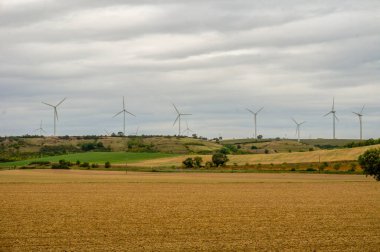 Bir grup rüzgar türbini ufukta bir rüzgar çiftliğinde, ön planda tarlalar ile hizalandılar.