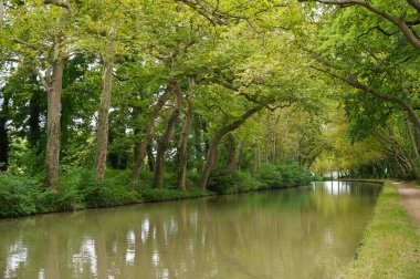 Nehir ve ağaçlarla dolu güzel bir manzara