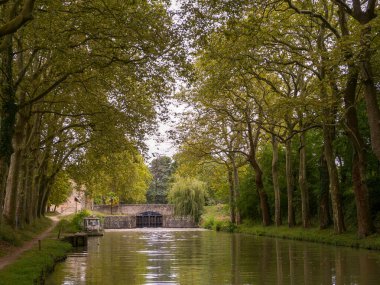 Nehir ve ağaçlarla dolu güzel bir manzara
