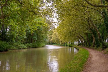 Nehir ve ağaçlarla dolu güzel bir manzara