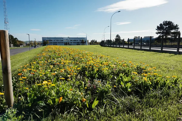 Reims, Fransa - Ekim 2022 - Moulin de la Housse 'da 200 metre uzunluğunda çiçek yatağı, Reims Champagne-Ardenne Üniversitesi (URCA) bilim kampüsü, doğa bilimleri binasının önünde.