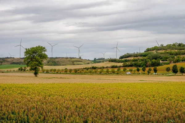 Pole Zalesněný Kopec Větrná Farma Obzoru Francouzské Krajině Francouzském Lauragais — Stock fotografie