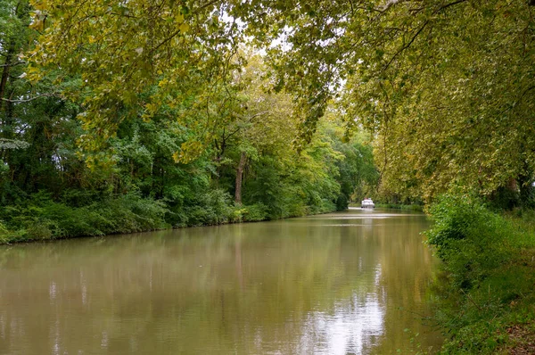 Green Warm Colors Peaceful Wild Canal Midi Flowing Tree Tunnel — Stock Photo, Image