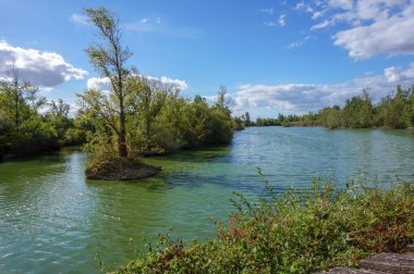 Nehir ve ağaçlarla dolu güzel bir manzara