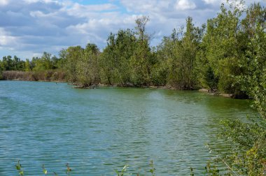 Nehir ve ağaçlarla dolu güzel bir manzara