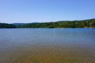 Nehir ve ağaçlarla dolu güzel bir manzara