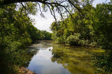 Tarn Nehri, Güneybatı Occitanie 'de güzel ve huzurlu bir orman manzarasında yeşil ağaçlarla kaplı yapraklı setlerin arasından yavaşça akar.