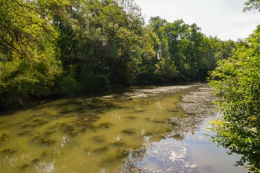 Tarn Nehri, Güneybatı Occitanie 'de güzel ve huzurlu bir orman manzarasında yeşil ağaçlarla kaplı yapraklı setlerin arasından yavaşça akar.