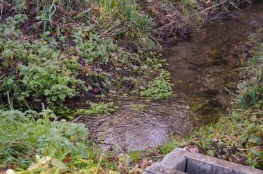 Fransa 'nın güneyinde Albipole' de Albi-Fonlabor ve Terssac arasında, çalılık ve yabani yeşil bitkilerle kaplı iki yamaç tarafından oluşturulan küçük, sessiz bir nehir çukuru akar.