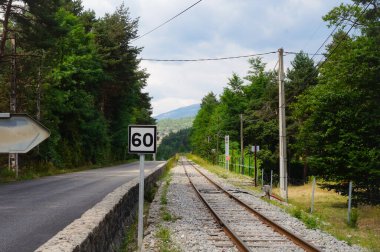 Ormanda demiryolu rayları