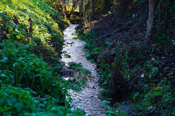 Small Quiet Rivulet Flows Hollow Formed Two Sloping Embankments Covered — Stock Photo, Image