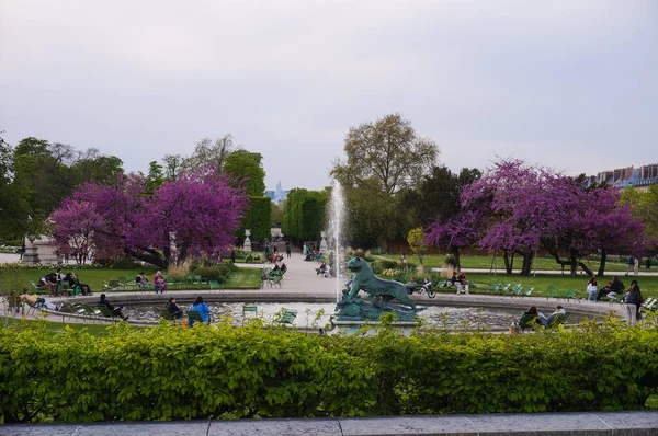 Париж Франція Квітень 2022 Місцеві Жителі Охолоджують Відпочивають Парку Навколо — стокове фото