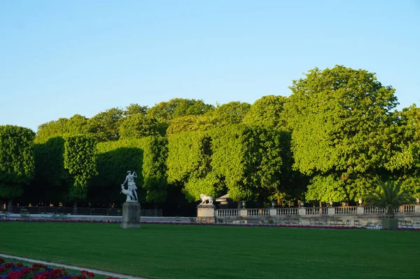 2021年4月 法国巴黎 法国参议院第六区的卢森堡花园 Jardin Luxembourg 的草坪和修剪过的树木 — 图库照片