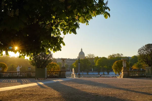 フランス 2021年4月 豪華なルクセンブルク庭園 ジャルダン ルクセンブルク フランス上院の公園でパントンと朝の気分に美しい日の出の景色 — ストック写真