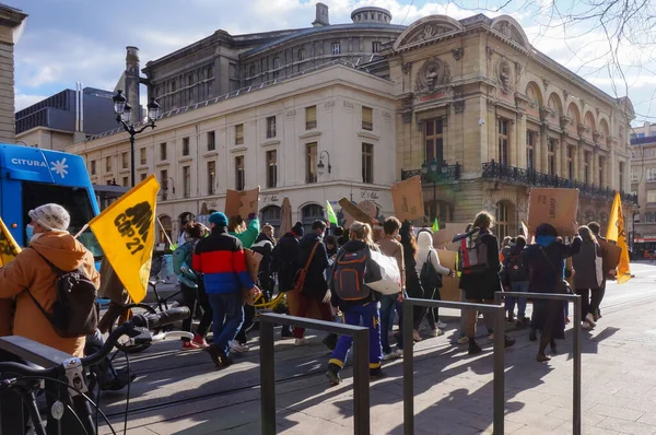 Reims Fransa Mart 2021 Bayraklı Tabelalı Genç Eylemciler Öğrencilerin Iklim — Stok fotoğraf