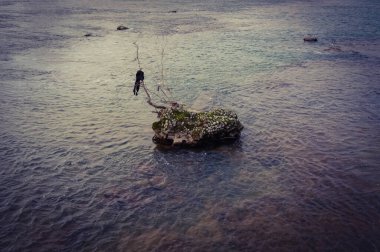 Sinister view of torn pieces of cloth hung on the branch of a tree, on a small rock in the middle of the water of a sea or a river ; illustration for a critical missing or a death by drowning