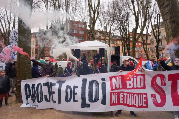 Toulouse Francia Enero 2021 Multitud Manifestantes Favor Familia Ondeando Banderas — Foto de Stock