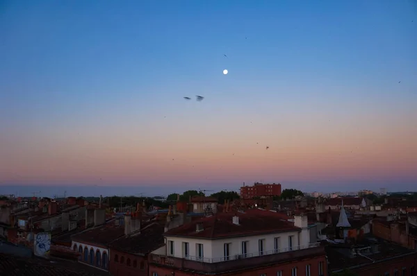 Toulouse França Julho 2020 Vista Manhã Cedo Sobre Telhados Casas — Fotografia de Stock