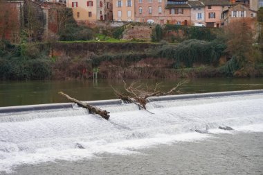 Albi, Fransa - 18 Şubat 2024 - Akıntı tarafından taşınan ve Tarn Nehri 'ndeki tarihi tuğla terasların altında, Eski Şehir' de inşa edilen bir ağaç gövdesi ve ölü odun parçası