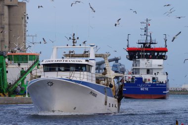 Port-la-Nouvelle, Fransa - 5 Nisan 2024 - Bir balıkçı teknesi, onu takip eden bir martı sürüsü, yepyeni Hydromer Ste hopper dredger Akdeniz 'e giderken limana girer.