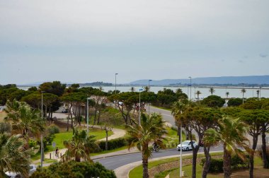 Palavs-les-Flots, France - April 6, 2024 - Mediterranean landscape with palm trees in the beach resort of Palavas, near Montpellier; the lagoons, which are connected to the sea, have brackish water  clipart