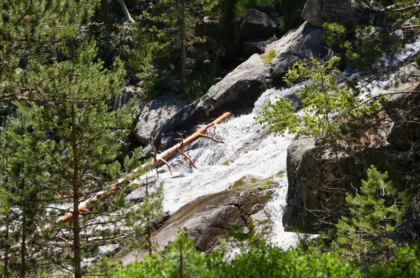 stock image Aragnouet, France - July 25, 2024 - Mountain rapids flowing down a rocky slope towards Ordon Lake in a pine forest, in the Natural Reserve of Nouvielle, located in the French Pyrenees Range