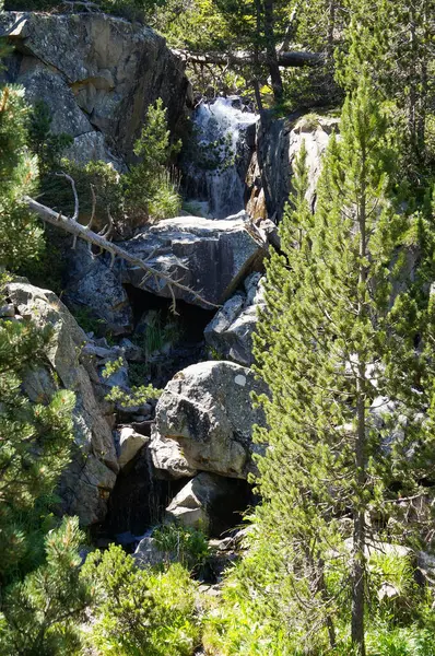 stock image Aragnouet, France - July 25, 2024 - Mountain rapids flowing down a rocky slope towards Ordon Lake in a pine forest, in the Natural Reserve of Nouvielle, located in the French Pyrenees Range