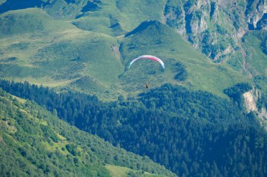 Gnos, France - July 23, 2024 - A paraglider flies over the pine forest and pastures covering the slopes of the Pyrenees Mountains, after jumping from the ridge above Gnos-Loudenvielle Lake clipart