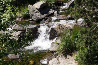 Aragnouet, Fransa - 25 Temmuz 2024 - Fransız Pirenesi 'nde yer alan Nouvielle' in Doğal Rezervi 'ndeki bir çam ormanındaki Ordon Gölü' ne doğru kayalık yamaçtan bir dere akmaktadır.