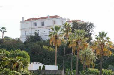Antibes, Fransa - 21 Ekim 2024 - Juan-les-Pins 'in zengin mahallesinde lüks bir Cte d' Azur (Fransız Rivierası) villası, lüks liman limanı Gallice marinası yakınlarında, palmiye ağaçları olan bir bahçesi var.