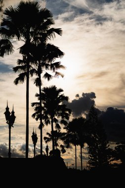 Palmiye ağaçları şehrin ticari bölgesinde duruyor..