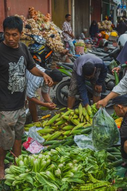 Balikpapan, Endonezya - 11 Ocak 2024 Sebzeler çiftlikten taze..