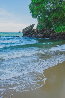Çarpıcı dalgaları ve yemyeşil ağaçları olan dramatik bir kayalık kıyı şeridi..