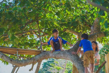 Balikpapan, Endonezya - 4 Temmuz 2024 Kısa ağaca tırmanırken birbirlerine gülümsüyorlar.