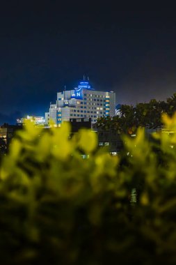 Balikpapan, Endonezya - 21 Nisan 2025. Aydınlanmış Novotel binası. Geceleri mavi neon ışıklı. Ön planda bitkiler tarafından kısmen gizlenmiş..