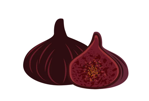 Whole Fig Piece Burgundy Color Cut Half Juicy Pulp Seeds — Stock Vector