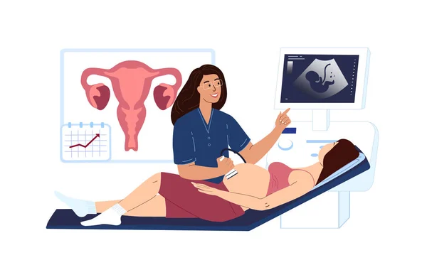 Gynecologist Ultrasound Doctor Consultate Diagnosing Pregnant Woman Ultrasound Investigation Prenatal — Stock Vector