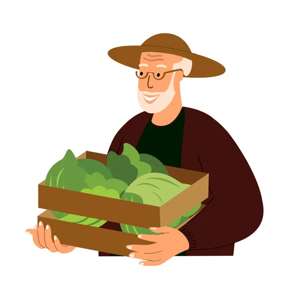 Emekli Çiftçi Taze Sebze Lahana Kasası Taşıyor Ağaç Kutusunda Organik — Stok Vektör