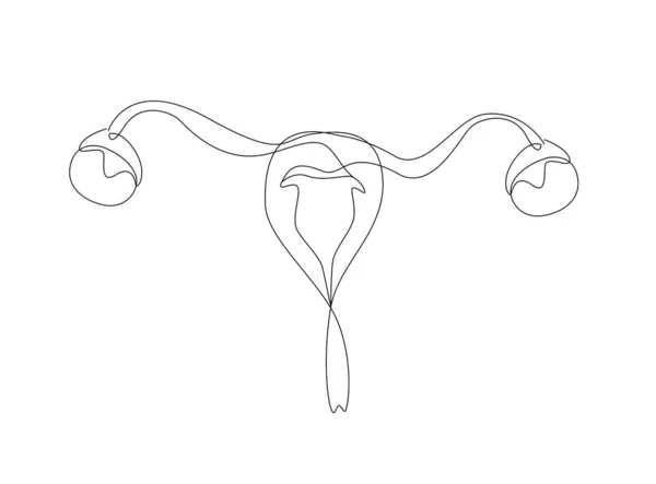 Hand Drawn Womb Uterus Line Style Feminism Concept Support Womens — Vetor de Stock