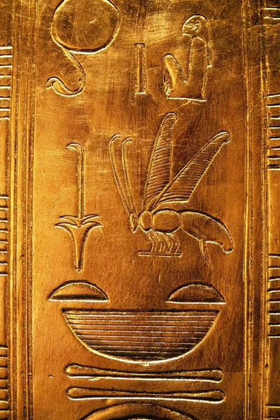 Hieroglyfy Vosou Tutanchamonovy Hrobky — Stock fotografie